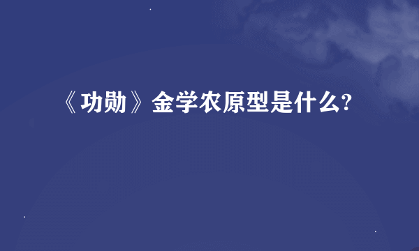 《功勋》金学农原型是什么?
