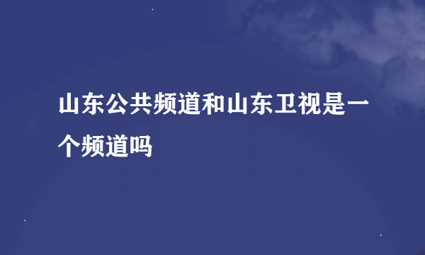 山东公共频道和山东卫视是一个频道吗