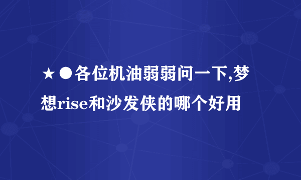 ★●各位机油弱弱问一下,梦想rise和沙发侠的哪个好用
