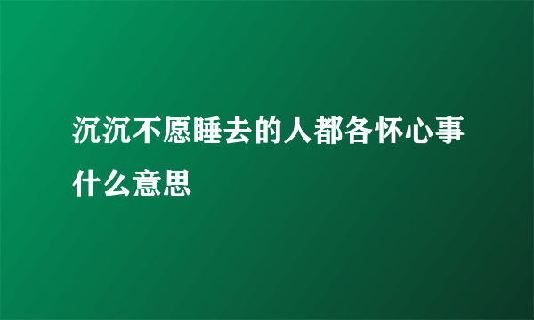 沉沉不愿睡去的人都各怀心事什么意思
