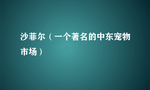 沙菲尔（一个著名的中东宠物市场）