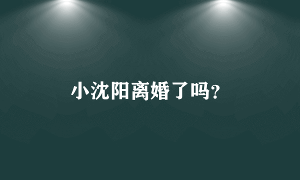 小沈阳离婚了吗？