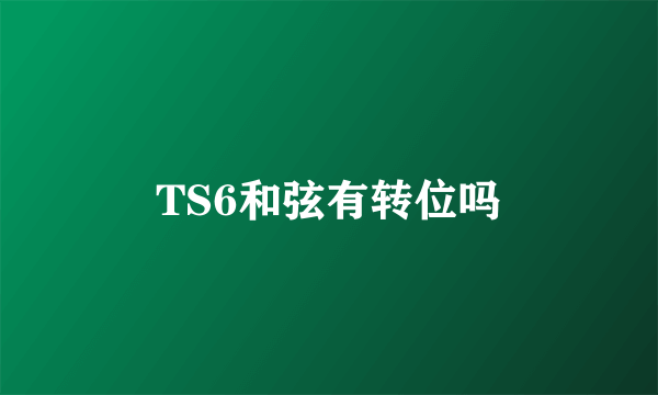 TS6和弦有转位吗