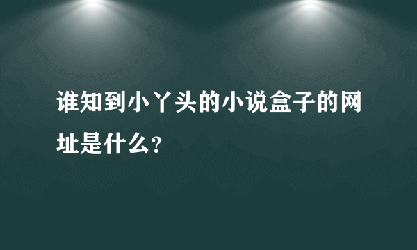 谁知到小丫头的小说盒子的网址是什么？