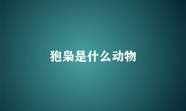 狍枭是什么动物