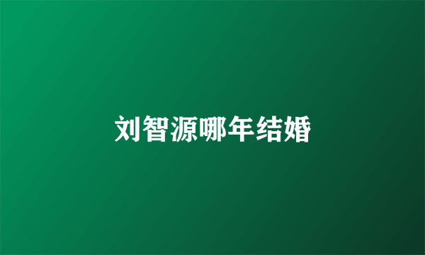 刘智源哪年结婚