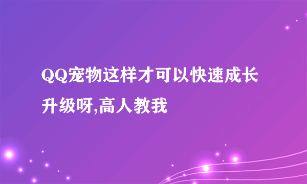 QQ宠物这样才可以快速成长升级呀,高人教我