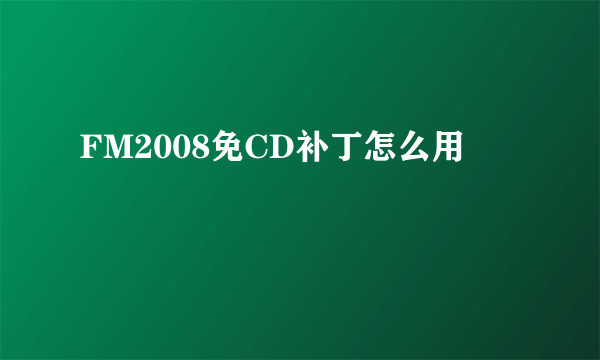 FM2008免CD补丁怎么用
