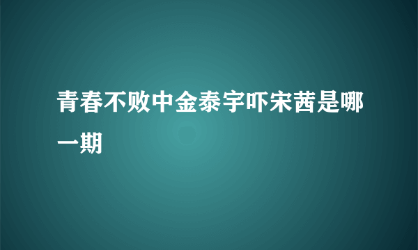 青春不败中金泰宇吓宋茜是哪一期