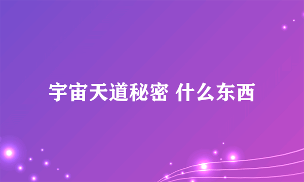 宇宙天道秘密 什么东西