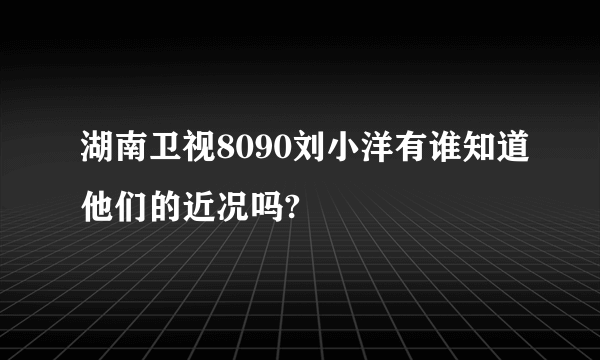 湖南卫视8090刘小洋有谁知道他们的近况吗?