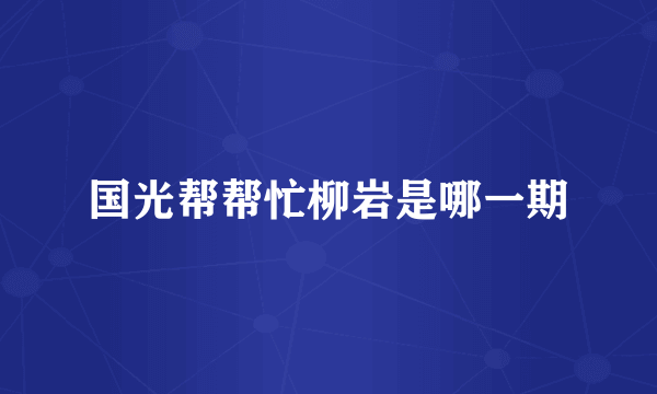 国光帮帮忙柳岩是哪一期