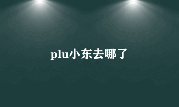 plu小东去哪了