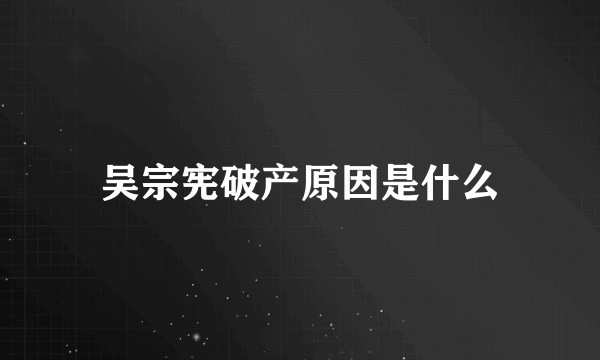 吴宗宪破产原因是什么