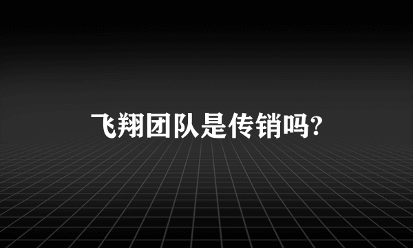 飞翔团队是传销吗?