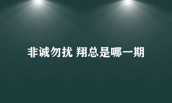 非诚勿扰 翔总是哪一期