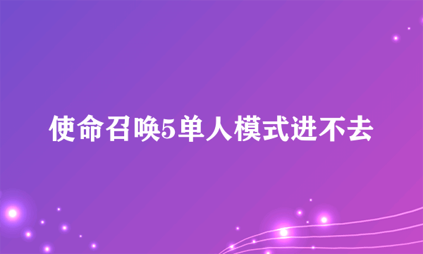 使命召唤5单人模式进不去