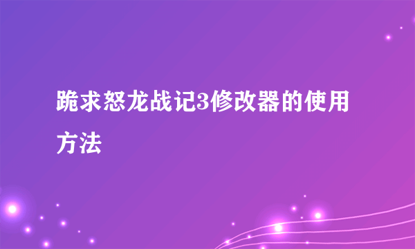 跪求怒龙战记3修改器的使用方法