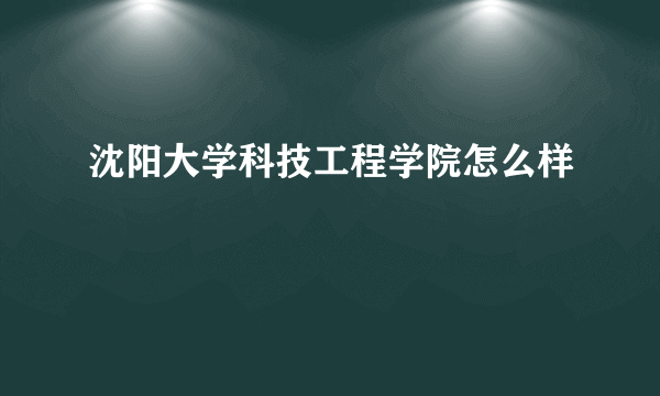 沈阳大学科技工程学院怎么样