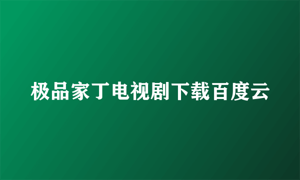 极品家丁电视剧下载百度云
