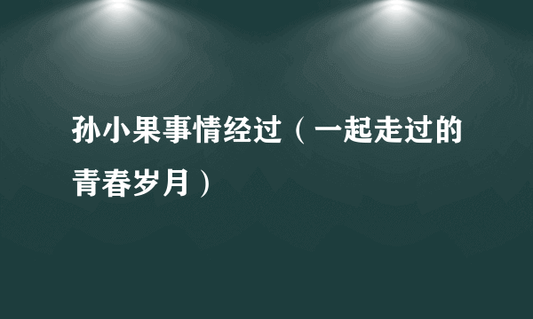 孙小果事情经过（一起走过的青春岁月）