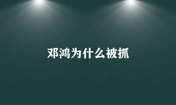 邓鸿为什么被抓