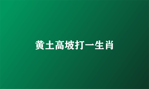 黄土高坡打一生肖