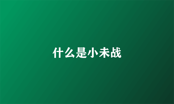 什么是小未战