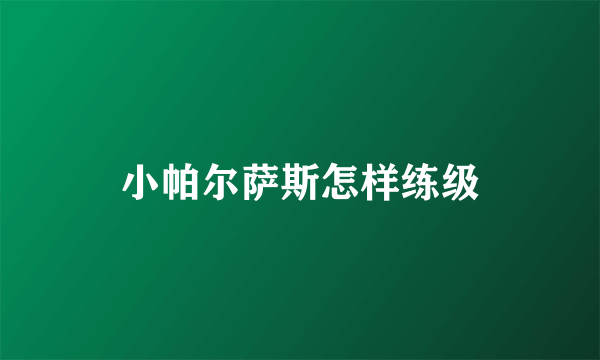 小帕尔萨斯怎样练级