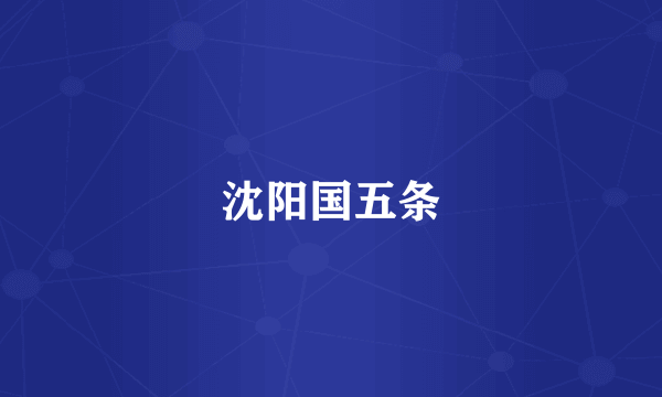 沈阳国五条