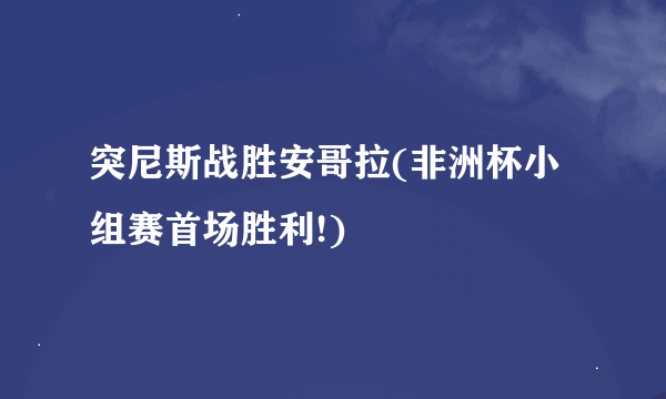 突尼斯战胜安哥拉(非洲杯小组赛首场胜利!)