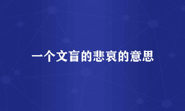 一个文盲的悲哀的意思