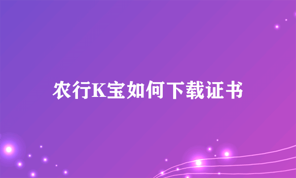 农行K宝如何下载证书