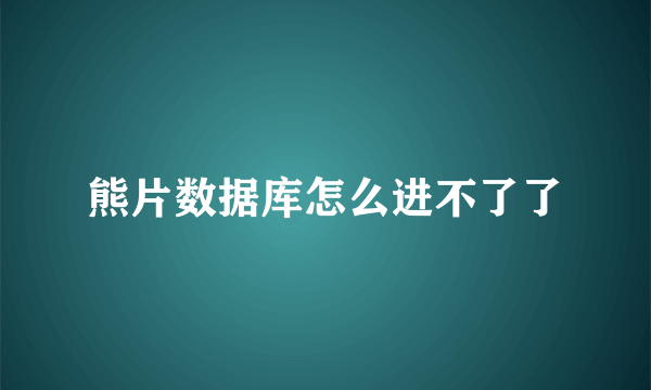 熊片数据库怎么进不了了