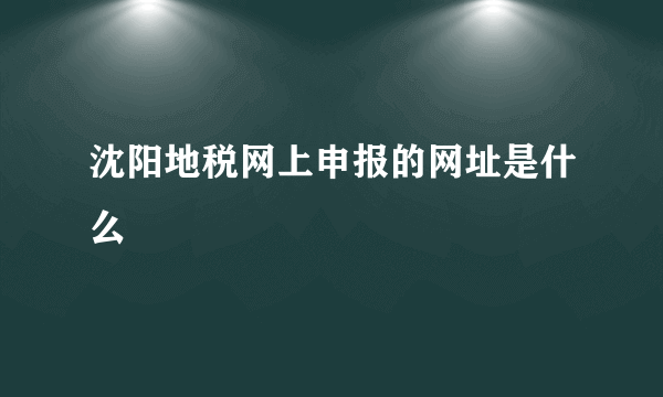 沈阳地税网上申报的网址是什么