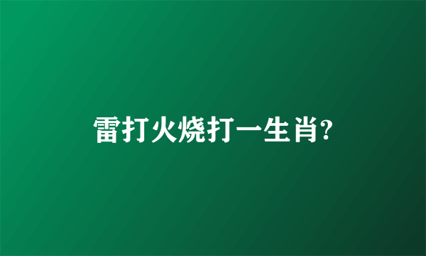 雷打火烧打一生肖?