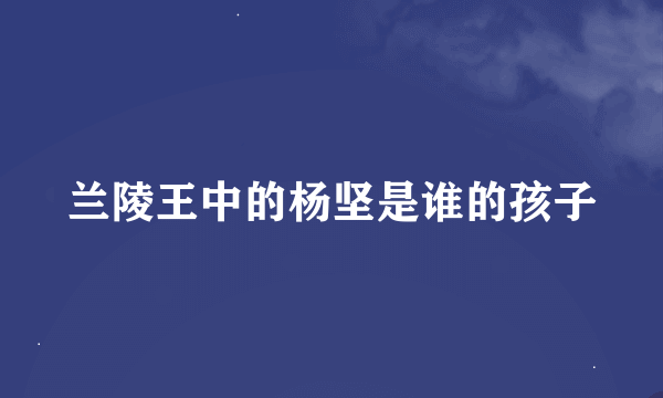 兰陵王中的杨坚是谁的孩子