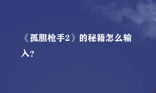 《孤胆枪手2》的秘籍怎么输入？