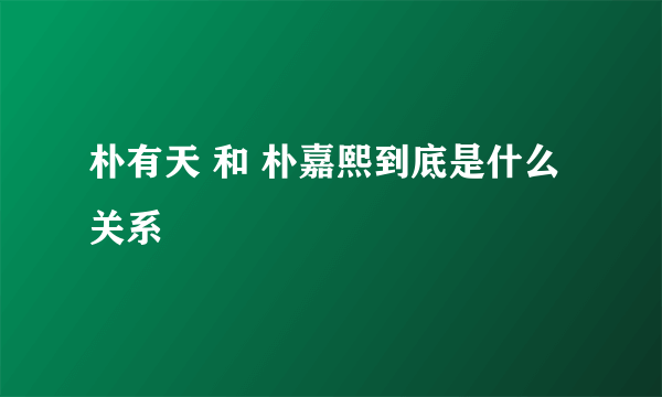 朴有天 和 朴嘉熙到底是什么关系