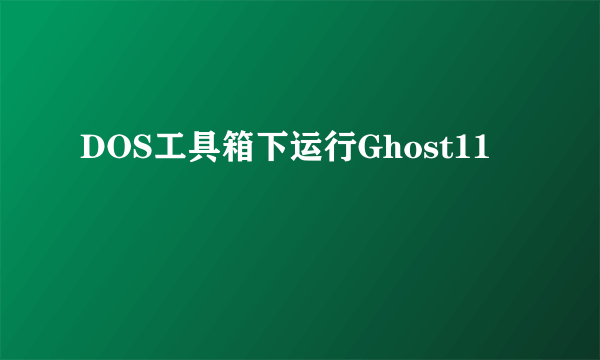 DOS工具箱下运行Ghost11