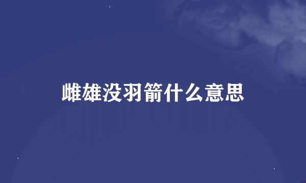 雌雄没羽箭什么意思