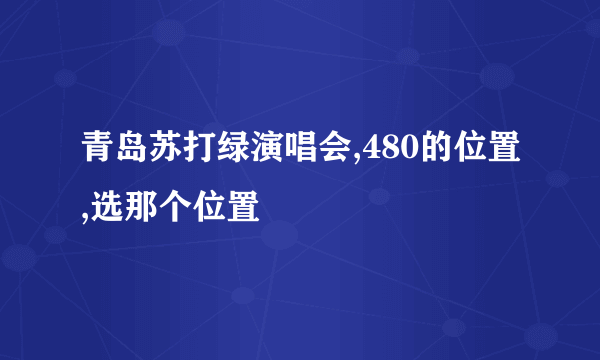 青岛苏打绿演唱会,480的位置,选那个位置