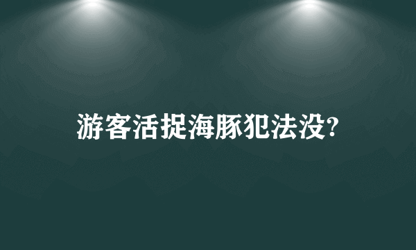 游客活捉海豚犯法没?