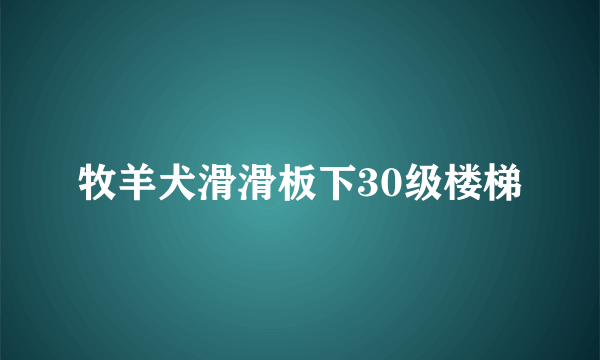牧羊犬滑滑板下30级楼梯