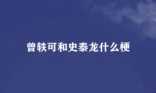 曾轶可和史泰龙什么梗