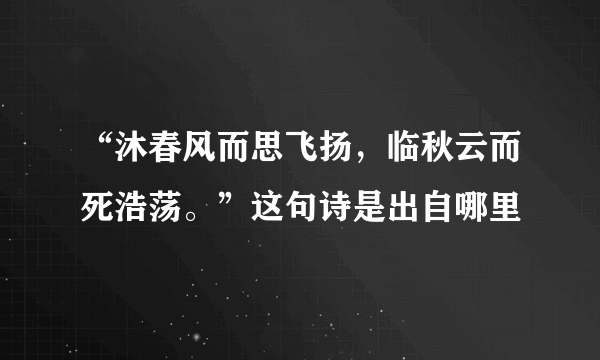 “沐春风而思飞扬，临秋云而死浩荡。”这句诗是出自哪里