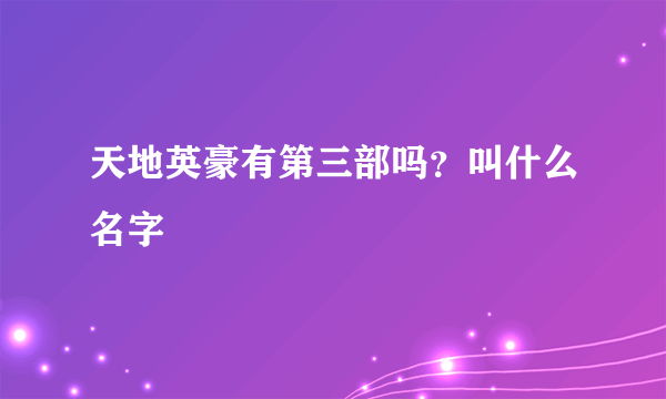 天地英豪有第三部吗？叫什么名字