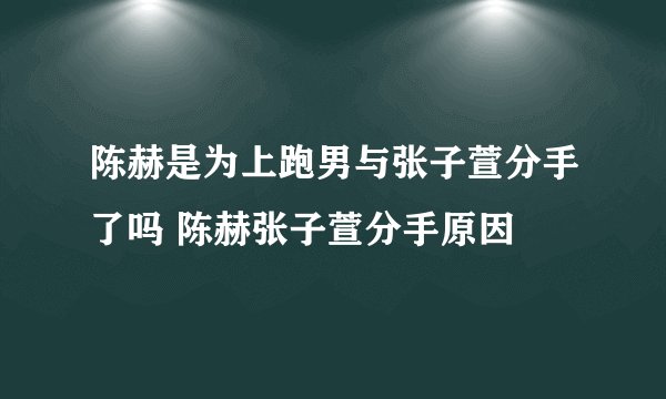 陈赫是为上跑男与张子萱分手了吗 陈赫张子萱分手原因