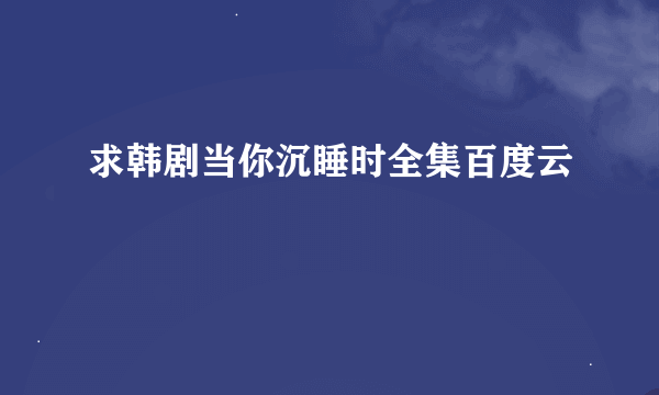 求韩剧当你沉睡时全集百度云