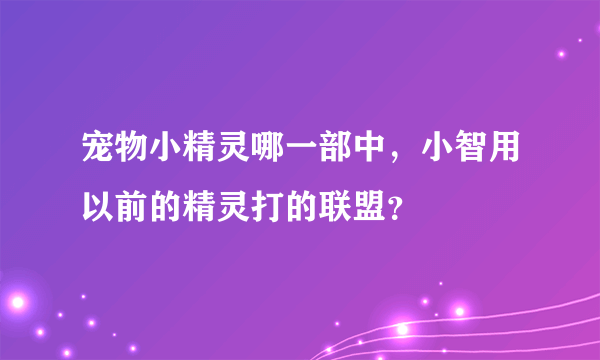 宠物小精灵哪一部中，小智用以前的精灵打的联盟？